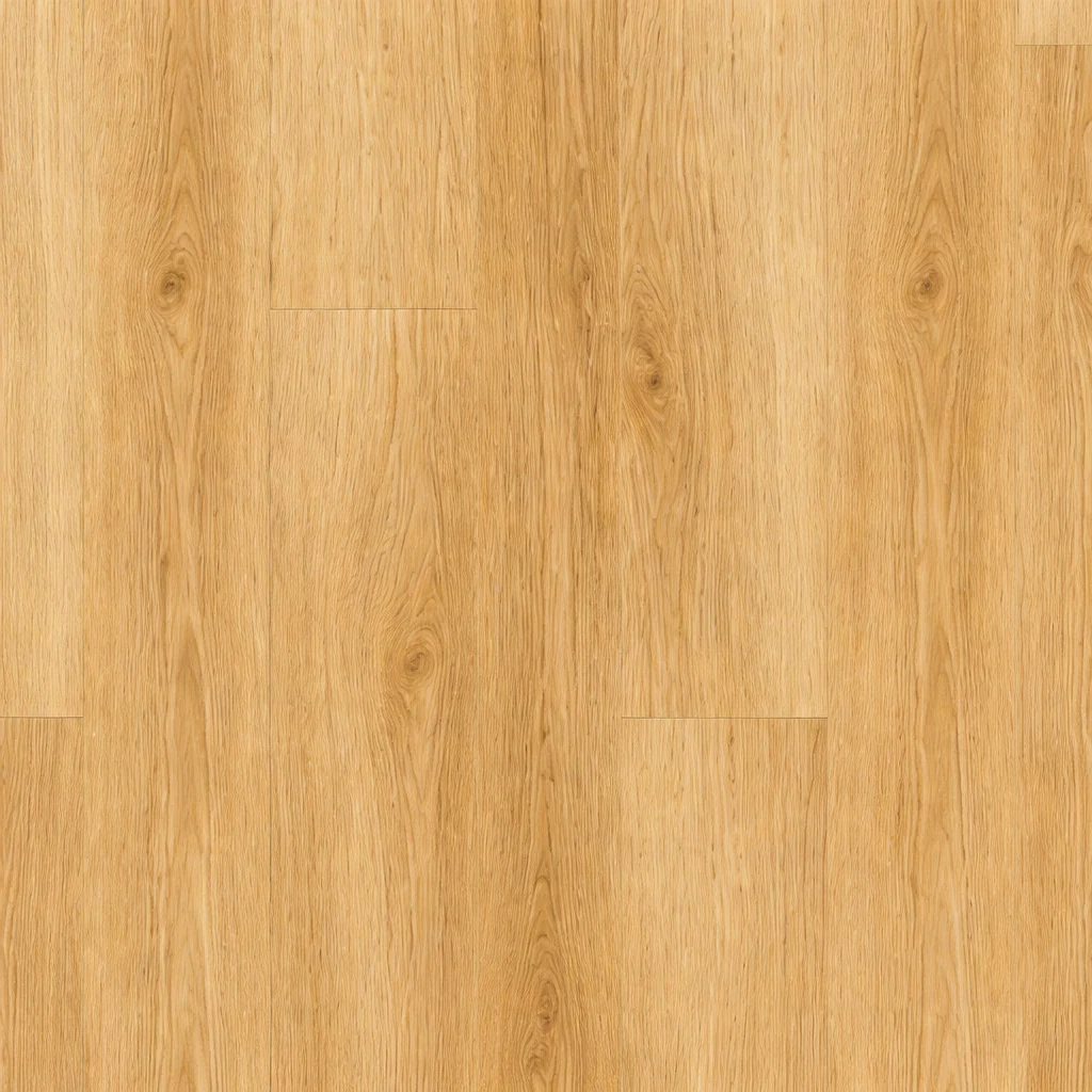 Plain Style